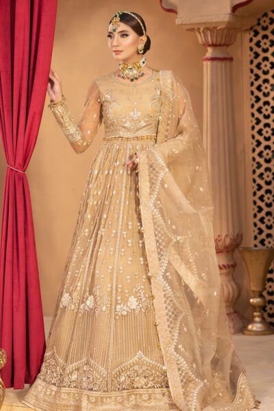 Neeshay Noor Formal Collection