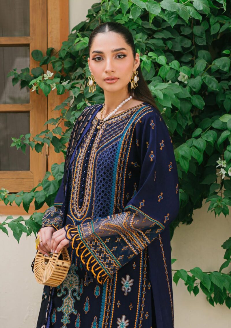 Bin Ilyas Bio24 522 A Winter Collection