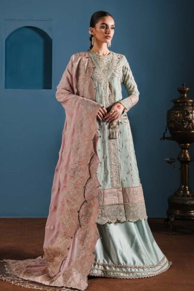 Zarqash Festive Chiffon Zq24 2b Formal Collection