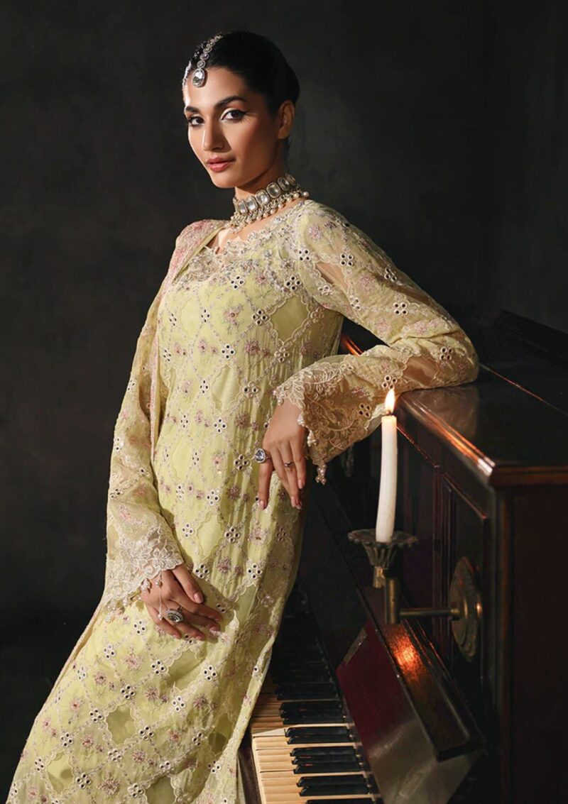 Raj Bari Art24 05 Ivy Formal Collection