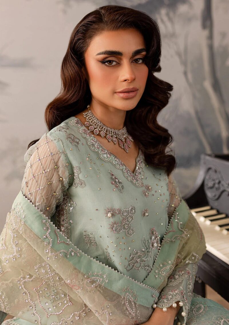 Nureh Unstitched 24 Ne 57 Formal Collection