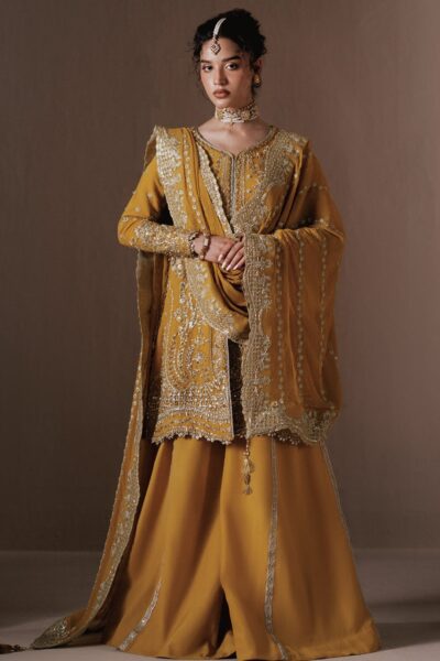 Zarposh Festive Dhanak Formal Collection