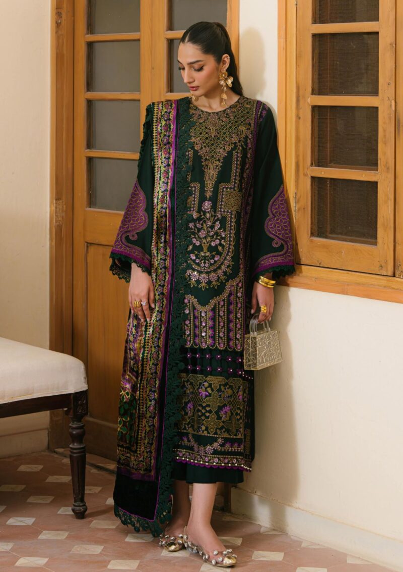 Bin Ilyas Bio24 521 A Winter Collection