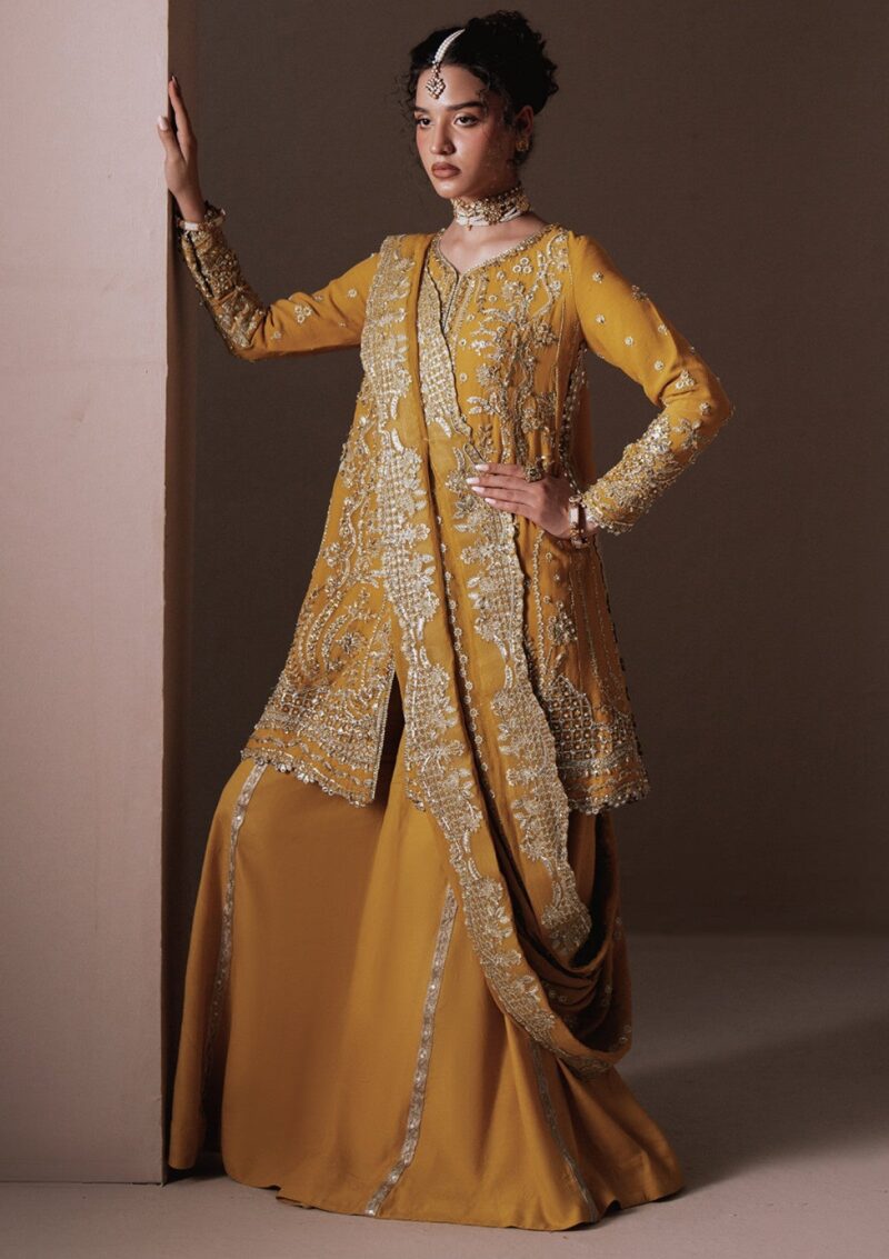 Zarposh Festive Dhanak Formal Collection