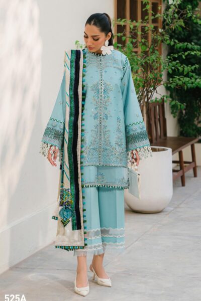 Bin Ilyas Bio24 525 A Winter Collection