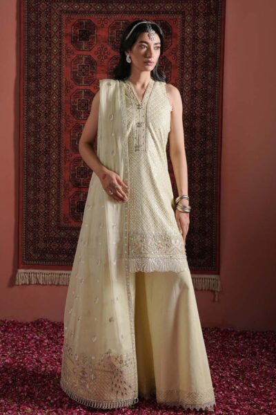 Zarqash Festive Chiffon Zq24 4b Formal Collection