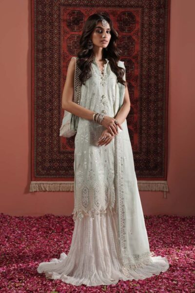 Zarqash Festive Chiffon Zq24 5a Formal Collection