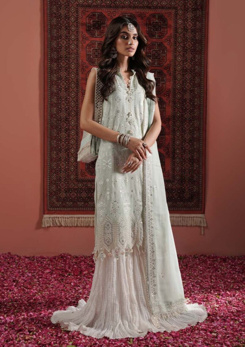 Zarqash Festive Chiffon Zq24 5a Formal Collection