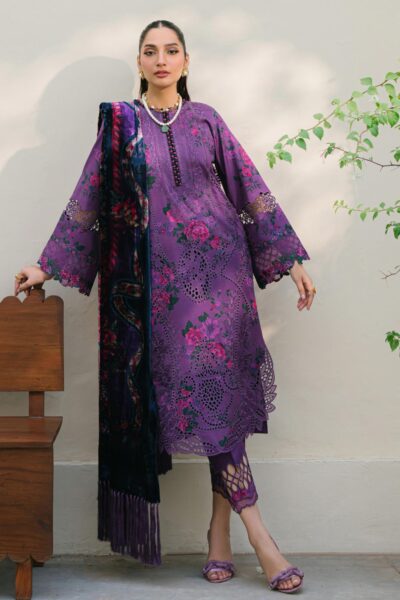 Bin Ilyas Bio24 526 A Winter Collection