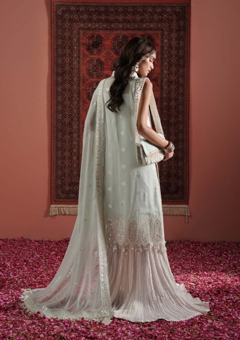 Zarqash Festive Chiffon Zq24 5a Formal Collection