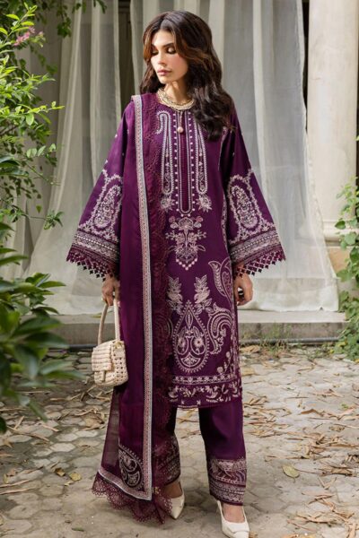 Marjjan Mrk 06 B (Purple) Winter Collection