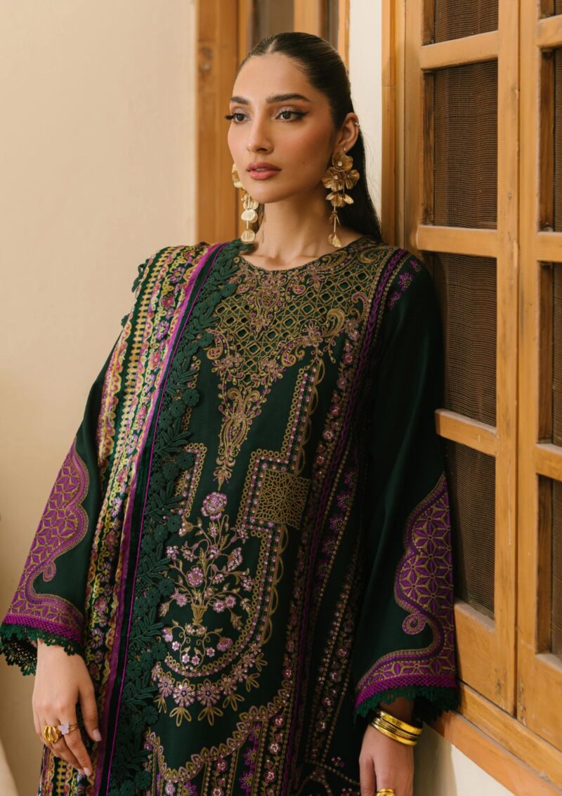 Bin Ilyas Bio24 521 A Winter Collection