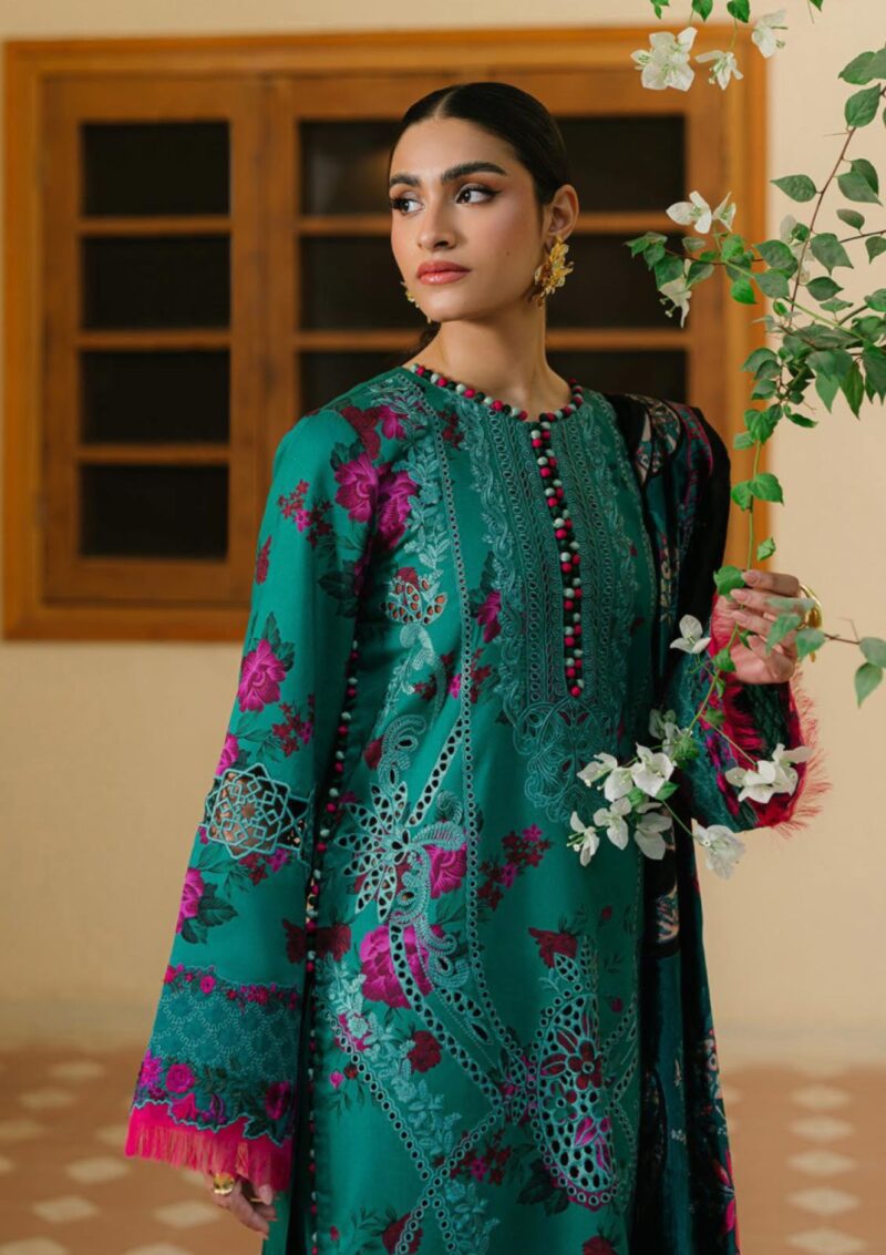 Bin Ilyas Bio24 526 B Winter Collection