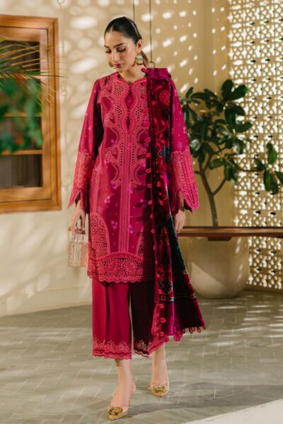 Bin Ilyas Bio24 527 A Winter Collection