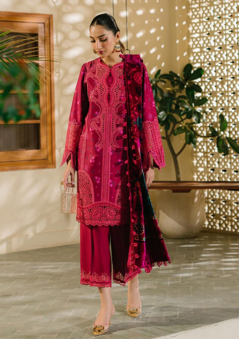 Bin Ilyas Bio24 527 A Winter Collection