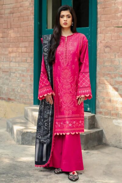 Bin Ilyas D 53 A Winter Collection