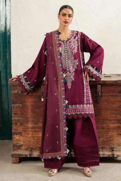 Bin Ilyas D 54 A Winter Collection