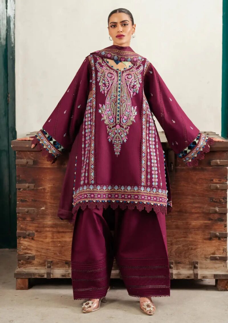 Bin Ilyas D 54 A Winter Collection