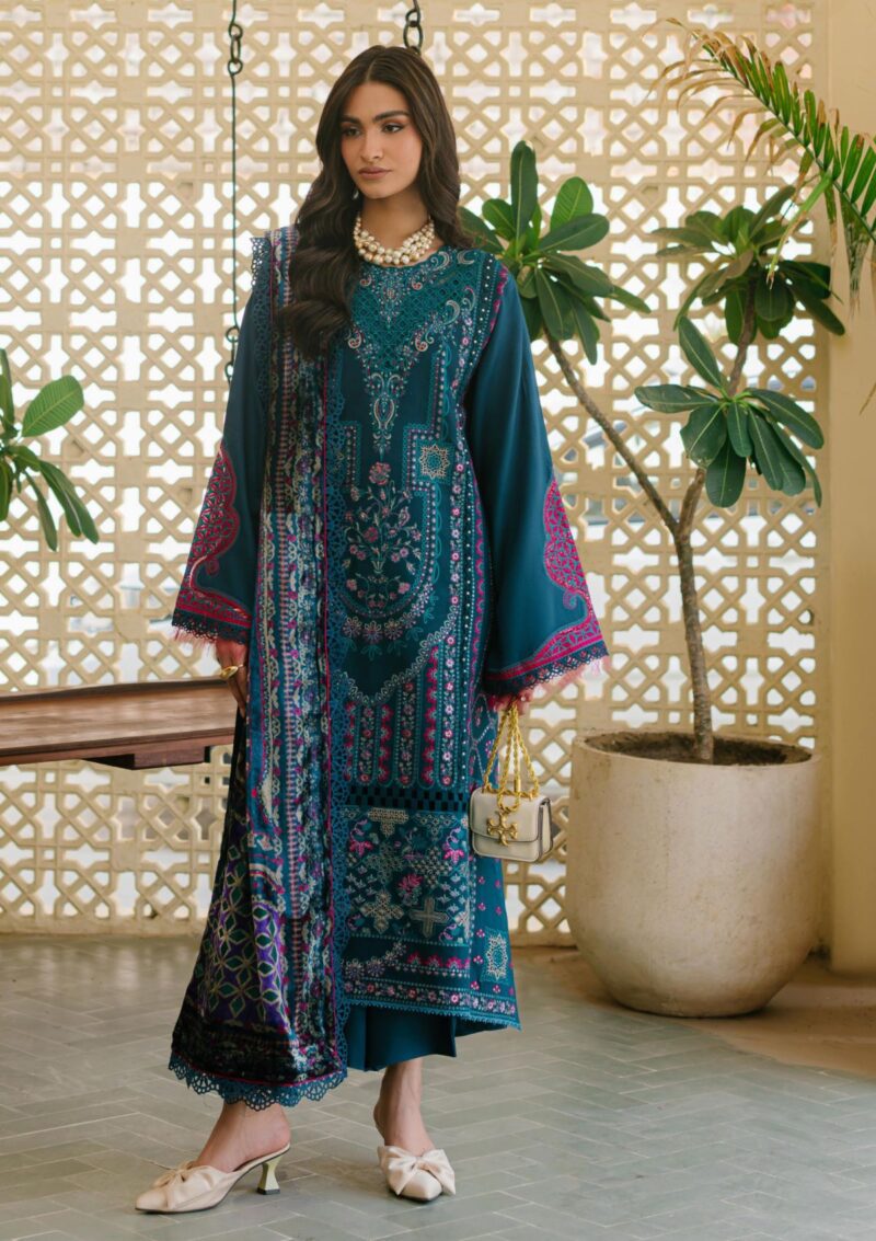 Bin Ilyas Bio24 521 B Winter Collection