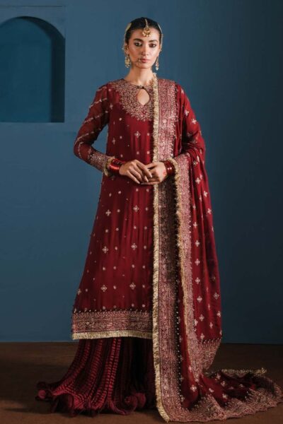 Zarqash Festive Chiffon Zq24 1a Formal Collection