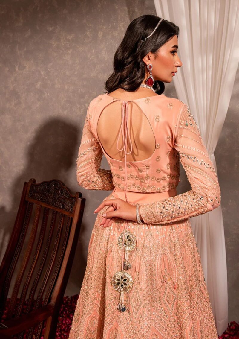 Maria Osama Khan Ds 04 Roshan Formal Collection