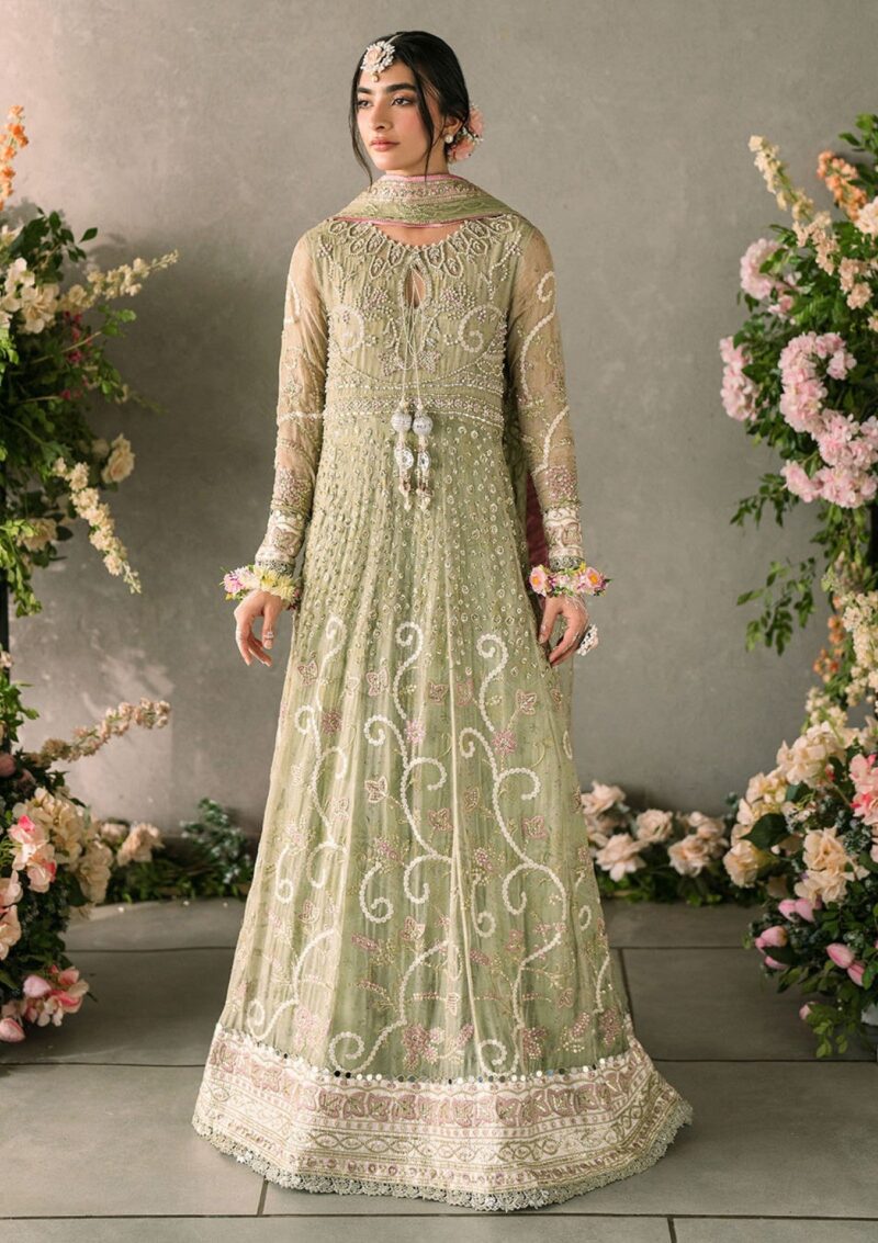 Mushq Mm24 10 Namar Formal Collection