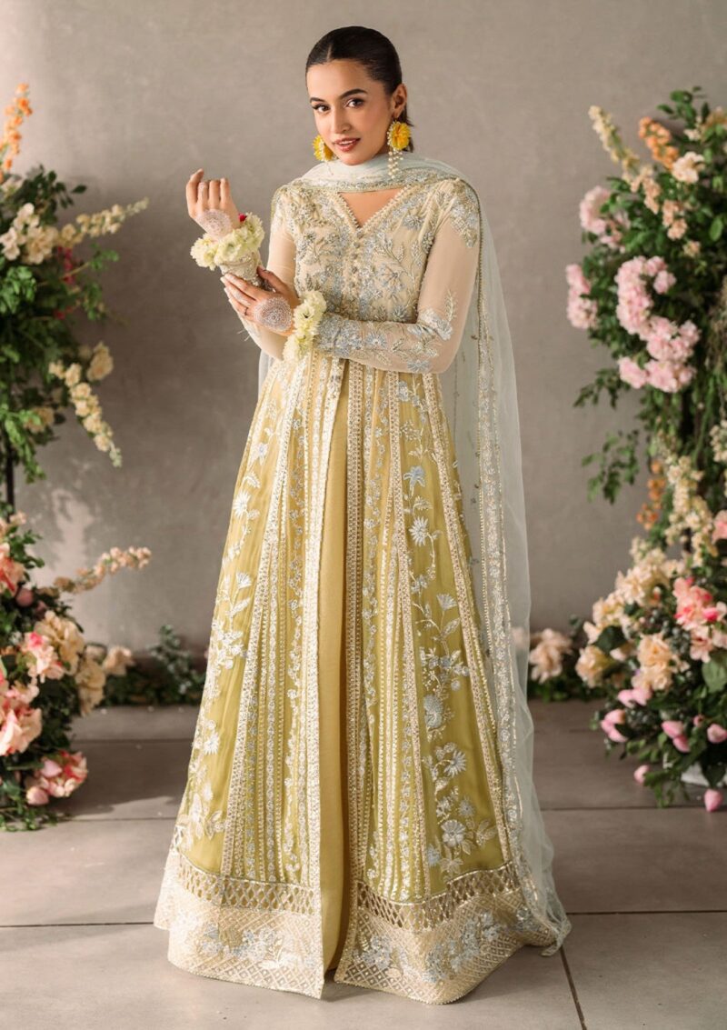 Mushq Mm24 06 Hira Formal Collection