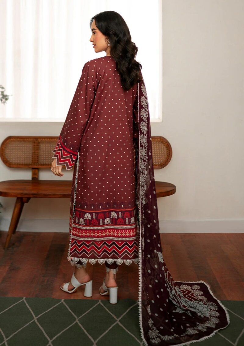 Roheenaz Rs24 01 B Nova Winter Collection