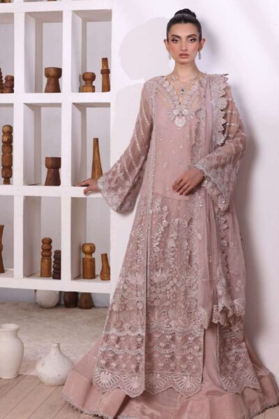 Noor Chiffon De Luxe Formal Collection