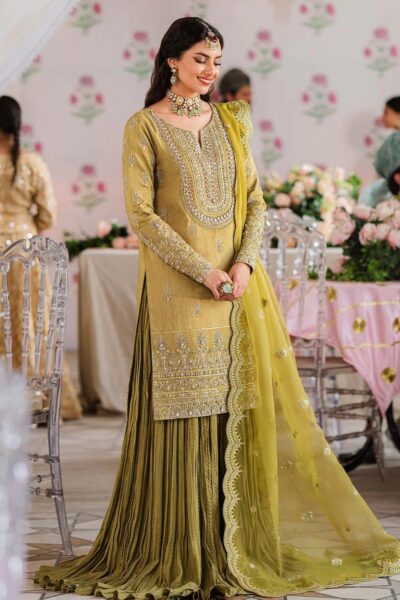 Akbar Aslam Aas24 1506 Meharzad Formal Collection