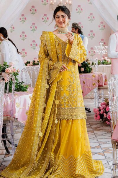 Akbar Aslam Aas24 1509 Meena Formal Collection