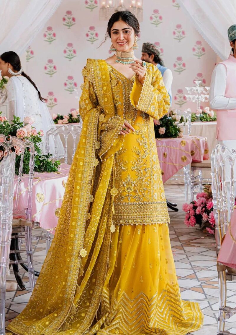 Akbar Aslam Aas24 1509 Meena Formal Collection