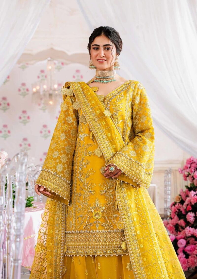 Akbar Aslam Aas24 1509 Meena Formal Collection