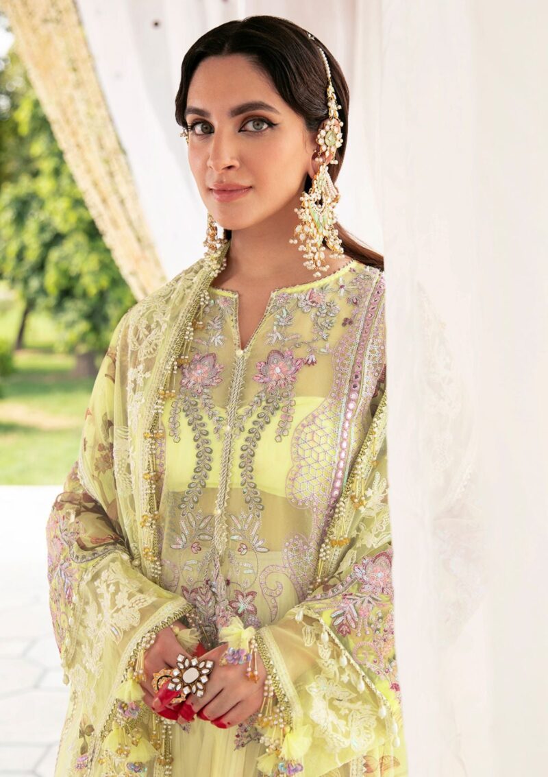 Declare Lfu 10 Nargis Formal Collection