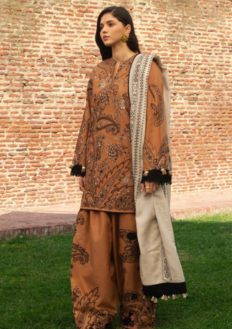 Zara Shahjahan D 06 Winter Collection