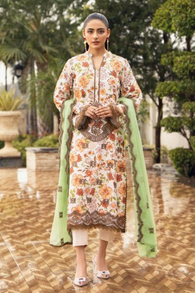 Humdum D 10 Winter Collection