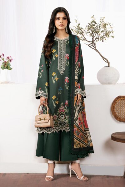 Bin Ilyas Bnv24 77 B Winter Collection