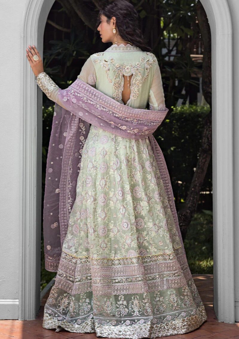 Mushq Mr24 109 Aara Formal Collection