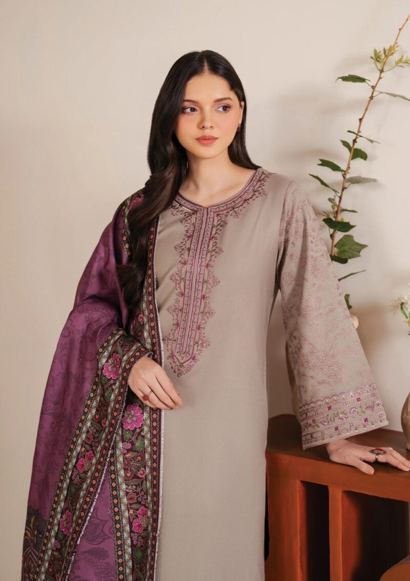 Garnet Clothing Winter Silhouette Shahmina Pret Collection