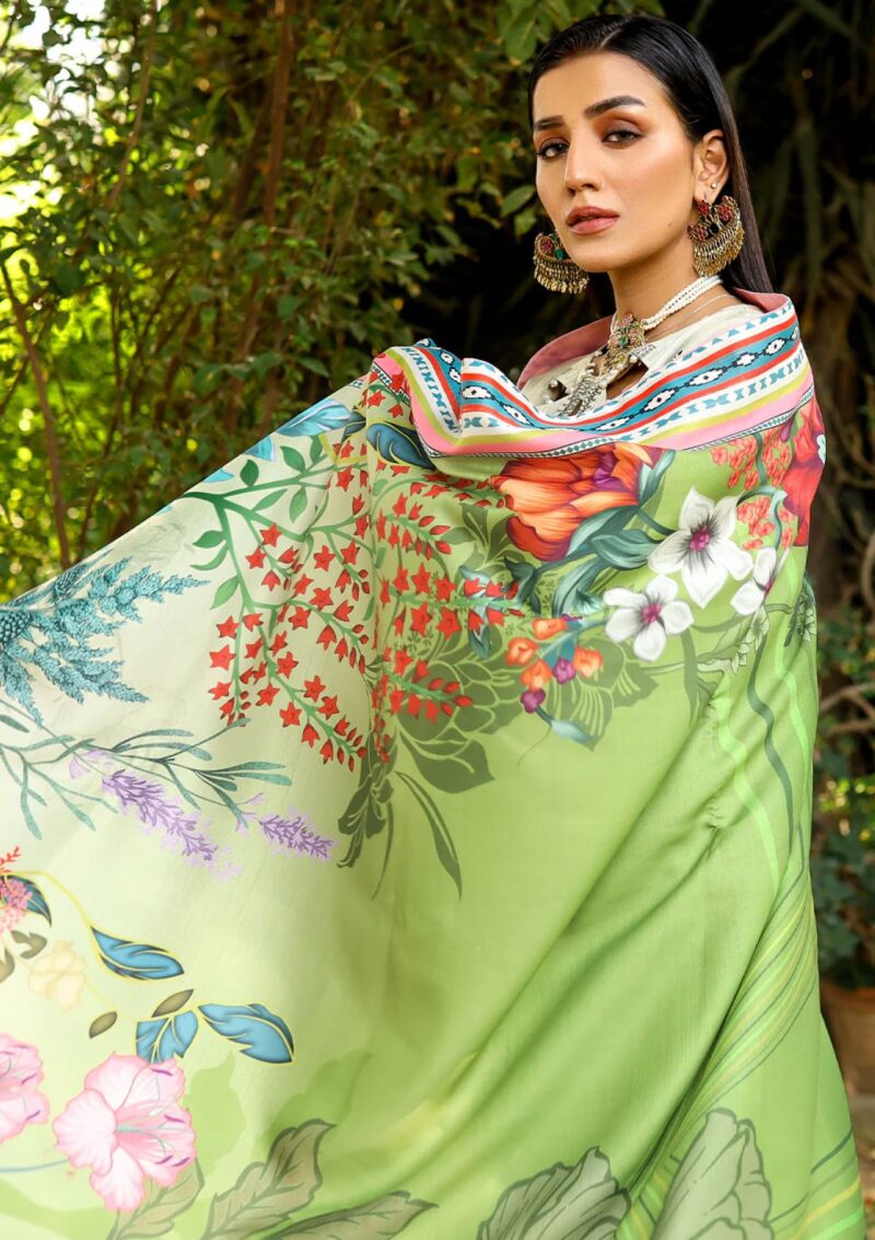 Bin Ilyas Maya Jahan D 762 A Winter Collection