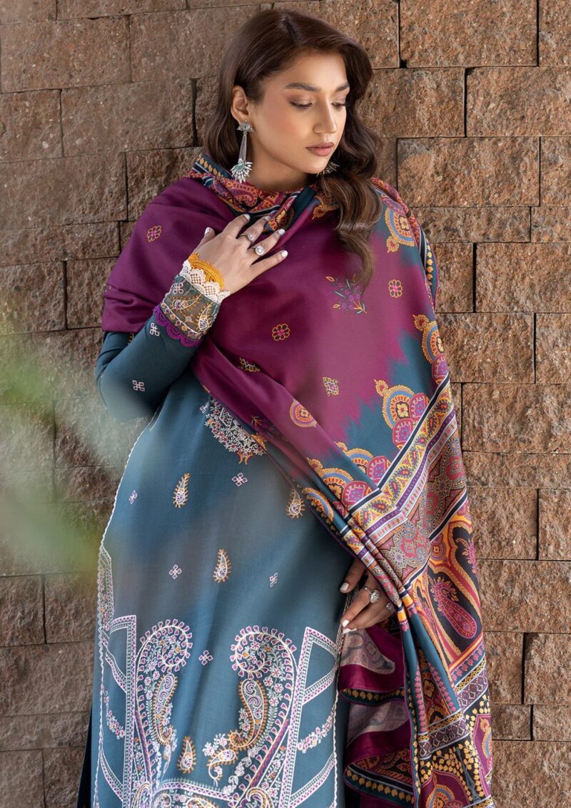 Bin Ilyas Unstitched Bupr 1913 A Winter Collection