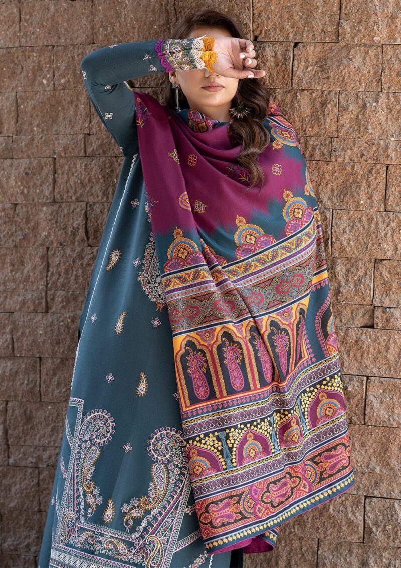 Bin Ilyas Unstitched Bupr 1913 A Winter Collection