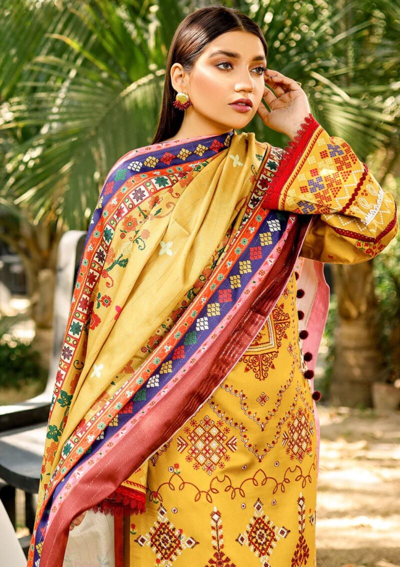 Bin Ilyas Maya Jahan D 763 A Winter Collection