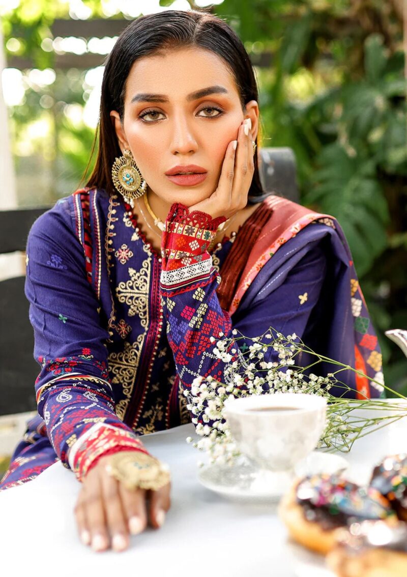 Bin Ilyas Maya Jahan D 763 B Winter Collection