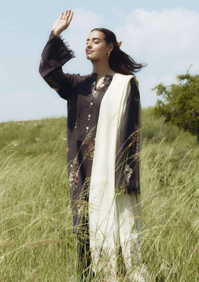 Zara Shahjahan Coco Unstitched Czw 2a Winter Collection