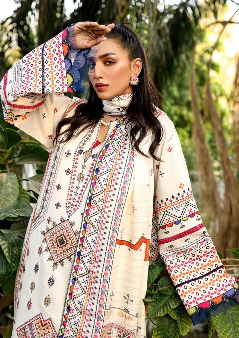 Bin Ilyas Maya Jahan D 764 A Winter Collection