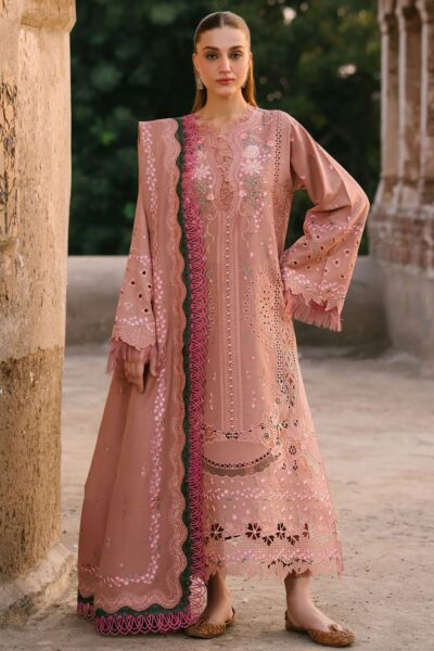 Bin Ilyas Gulabi Baagh Bi Gb 152a Winter Collection