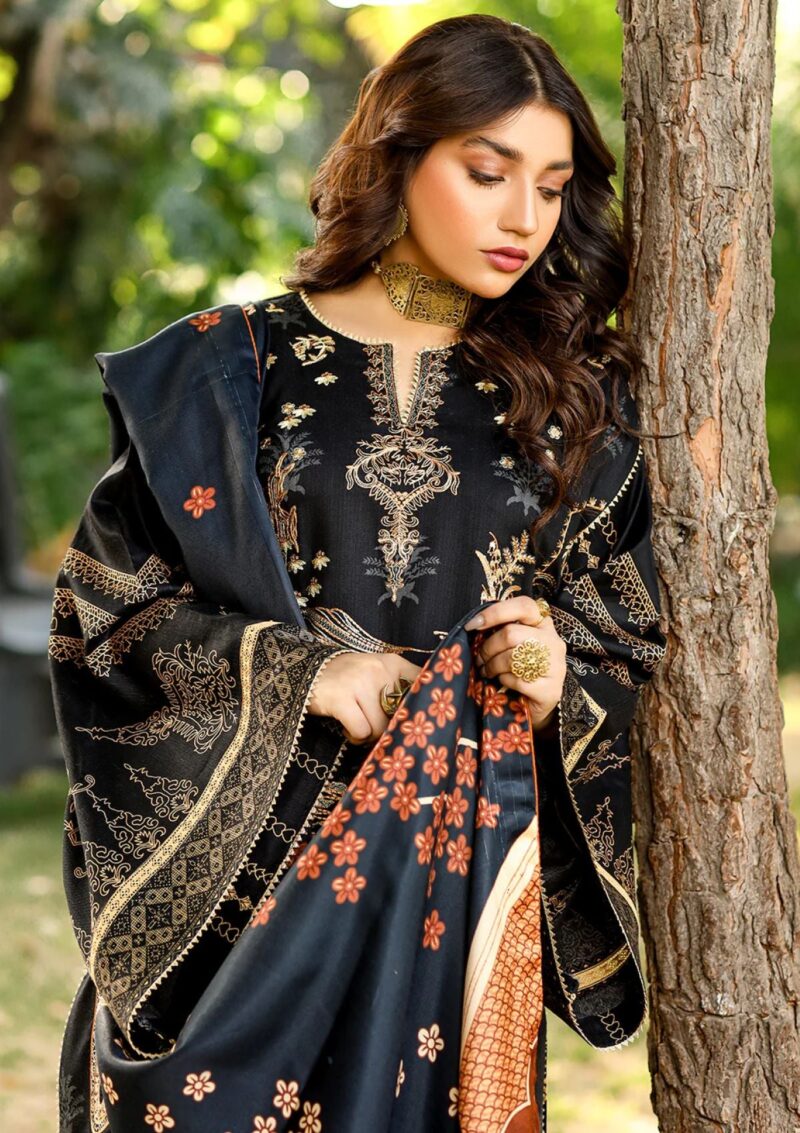 Bin Ilyas Maya Jahan D 766 A Winter Collection