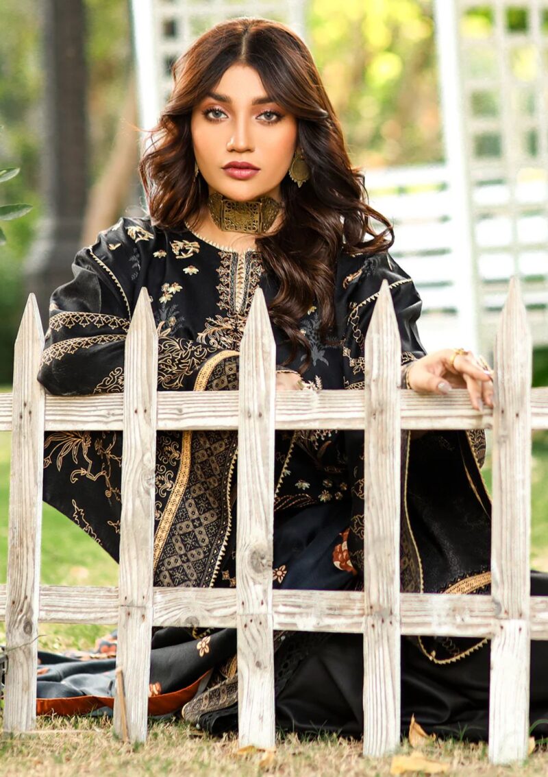 Bin Ilyas Maya Jahan D 766 A Winter Collection