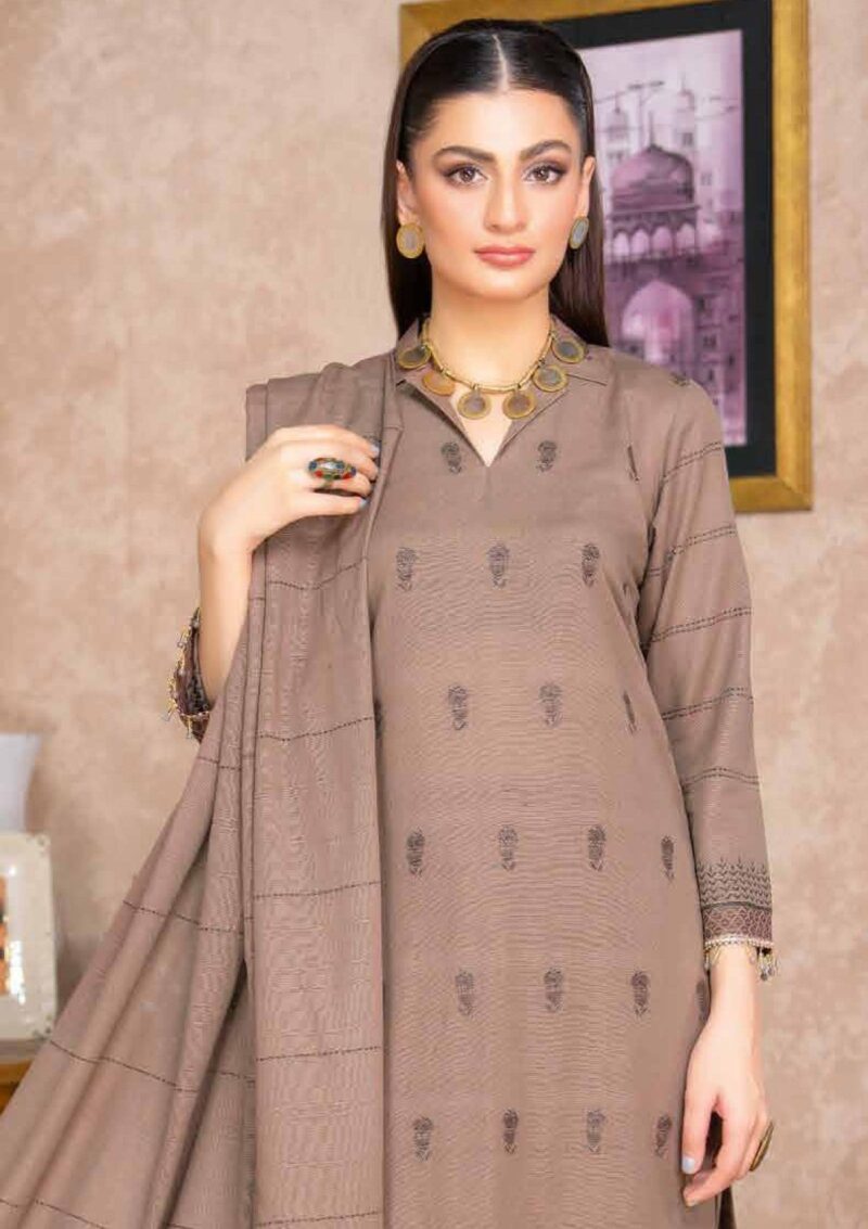 Bin Rashid Lok Virsa Bl 01 Winter Collection